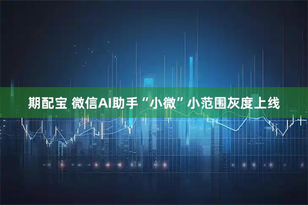 期配宝 微信AI助手“小微”小范围灰度上线
