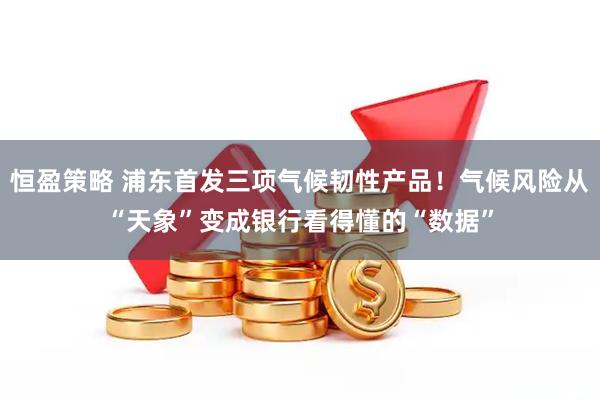 恒盈策略 浦东首发三项气候韧性产品！气候风险从“天象”变成银行看得懂的“数据”