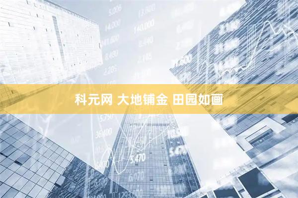 科元网 大地铺金 田园如画